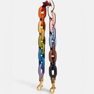 ISO Coach rainbow leather covered chain